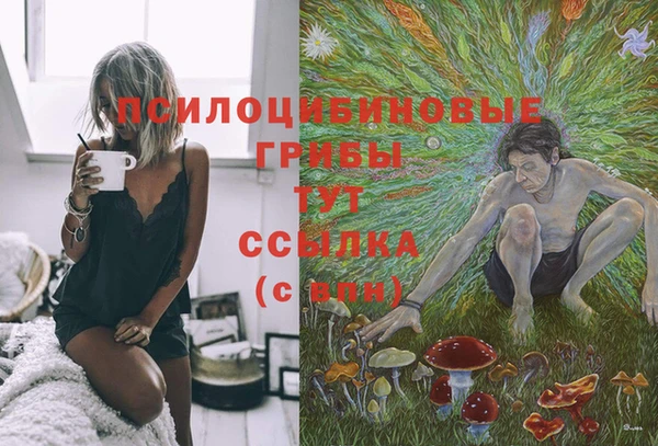 ешки Алексин