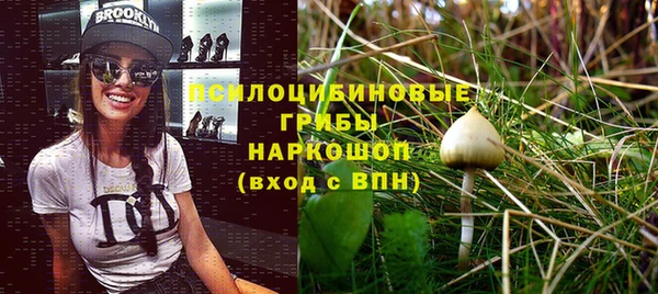 прущая мука Алзамай